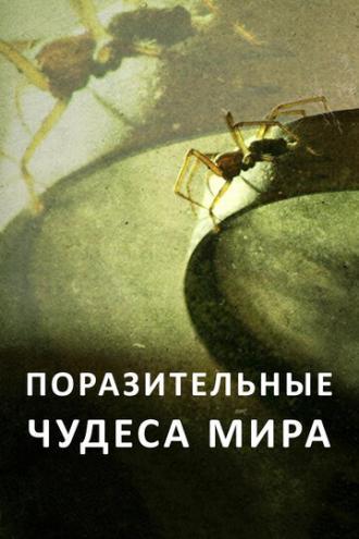 Поразительные чудеса мира (сериал 2015)