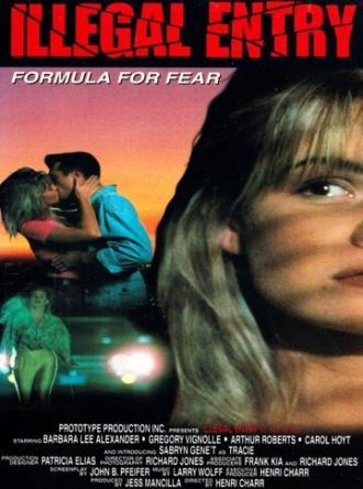 Незаконное вторжение (фильм 1993)