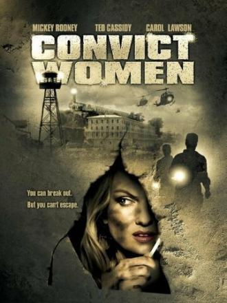 Взрывоопасный округ (фильм 1974)