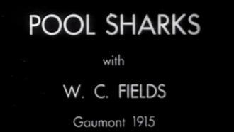 Pool Sharks