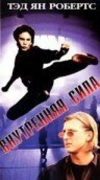 Внутренняя сила (фильм 1995)