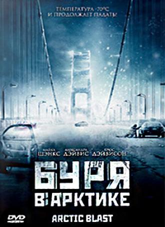 Буря в Арктике (фильм 2010)