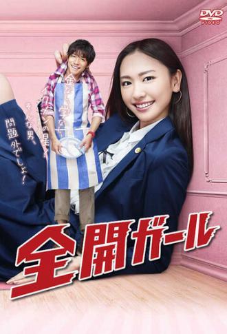 Карьеристка (сериал 2011)
