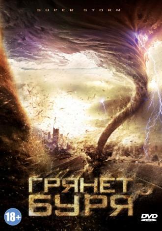 Грянет буря (фильм 2011)