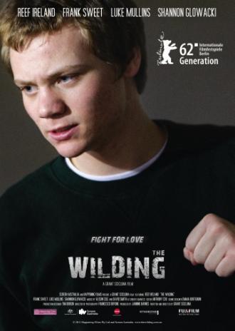 Дикий (фильм 2012)