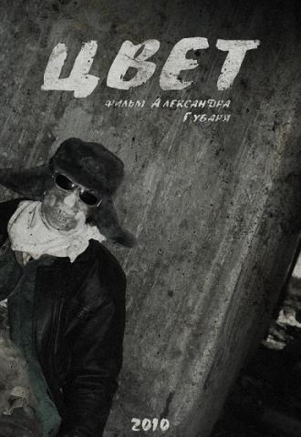 Цвет