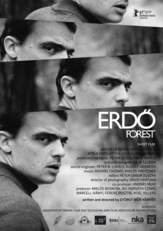Лес (фильм 2011)