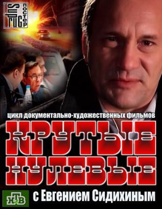 Крутые нулевые (сериал 2012)
