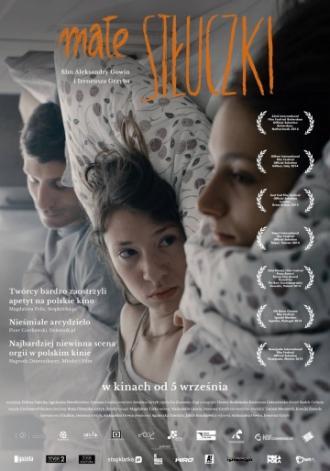 Небольшие неровности (фильм 2014)
