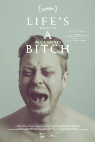 Дуры все (фильм 2014)