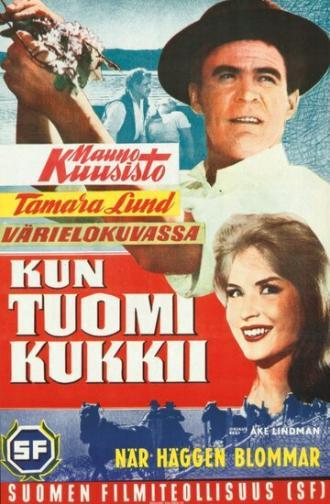 Kun tuomi kukkii