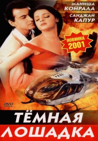 Темная лошадка (фильм 2001)