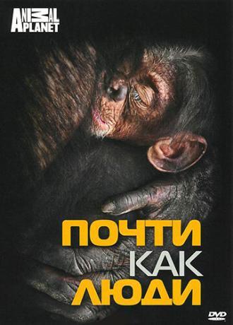 Discovery: Почти как люди (фильм 2007)