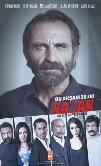 Беглец (сериал 2013)