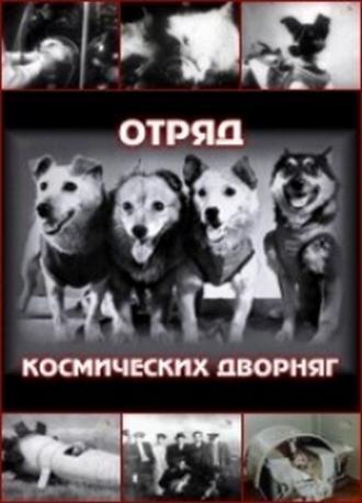 Отряд космических дворняг (фильм 2004)