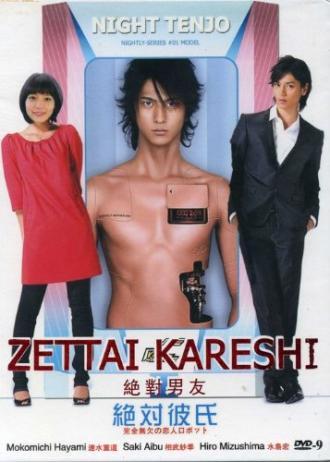 Идеальный парень  (фильм 2008)