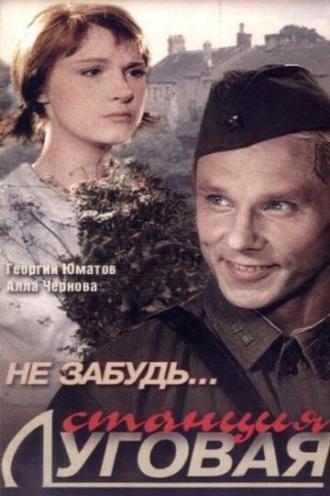 Не забудь... станция Луговая (фильм 1966)