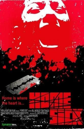 Псих в доме (фильм 2007)