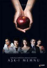 Запретная любовь  (2008)