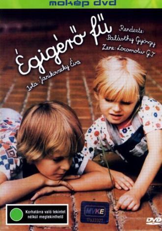Трава до неба (фильм 1979)