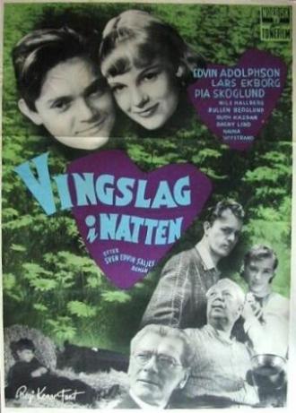 Vingslag i natten (фильм 1953)