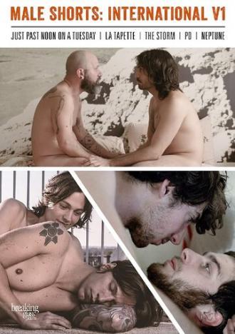 Male Shorts International V1