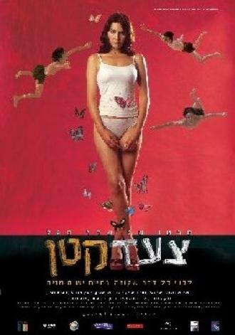 Один маленький шаг (фильм 2003)