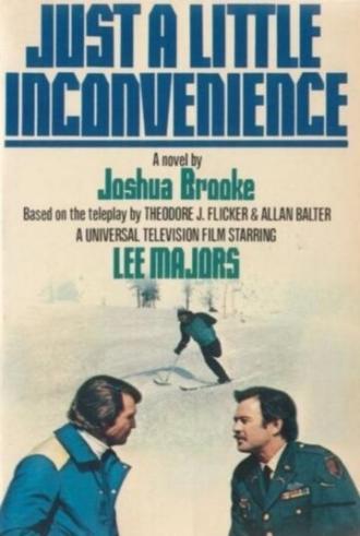 Просто небольшое беспокойство (фильм 1977)