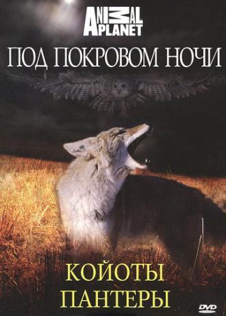 Под покровом ночи (сериал 2009)