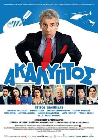 Перерасход (фильм 2013)
